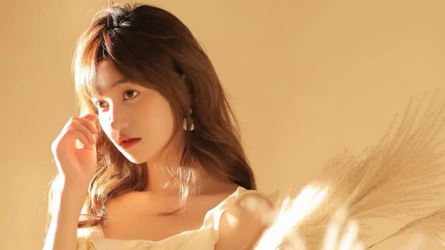 星空官方:大体重室内健身器材有哪些