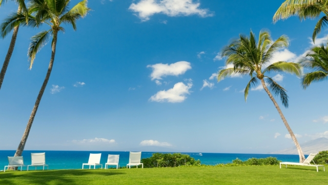 星空公司：田径训练动作有器材