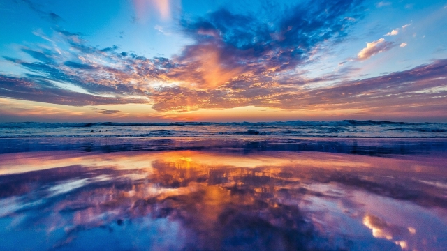 星空公司：怎么用器材训练篮球运动