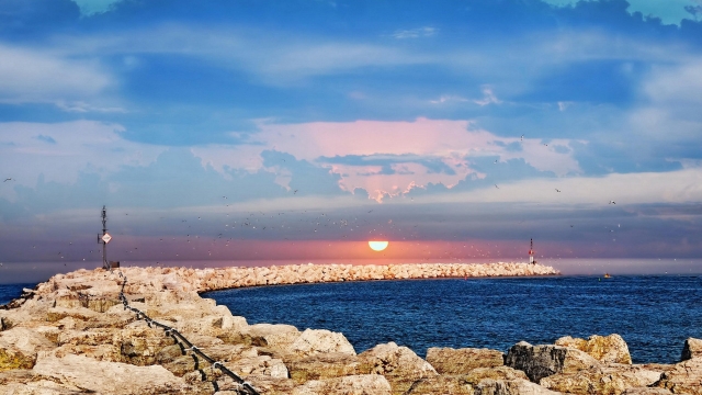 星空集团：室内健身器材介绍自己