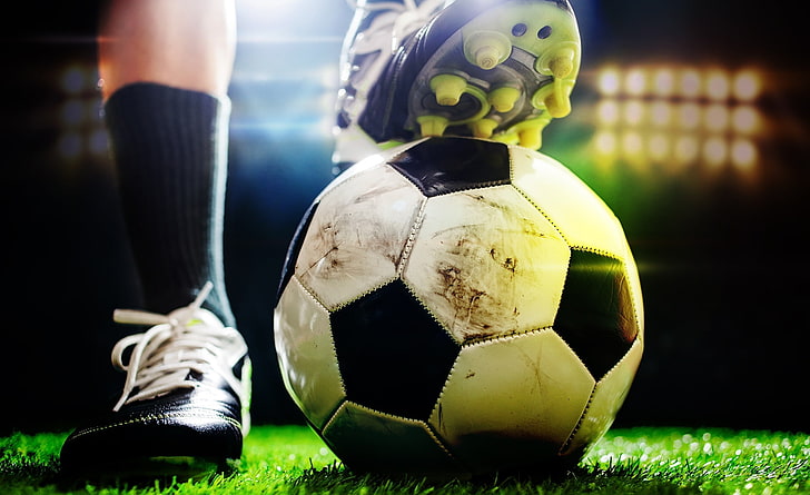 星空公司：室内攀爬健身器材